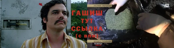 дмт Алзамай