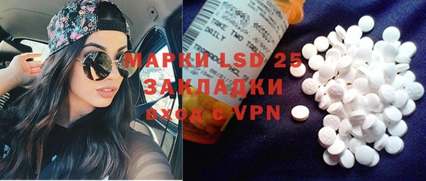 шишки Аркадак