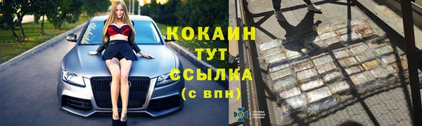 шишки Аркадак