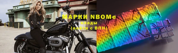 шишки Аркадак